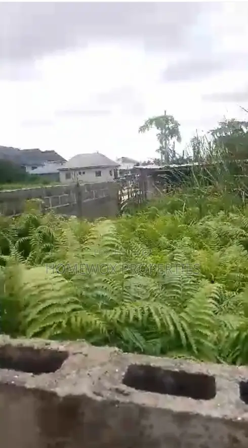Full Plot of Land at Ojo in Okokomaiko