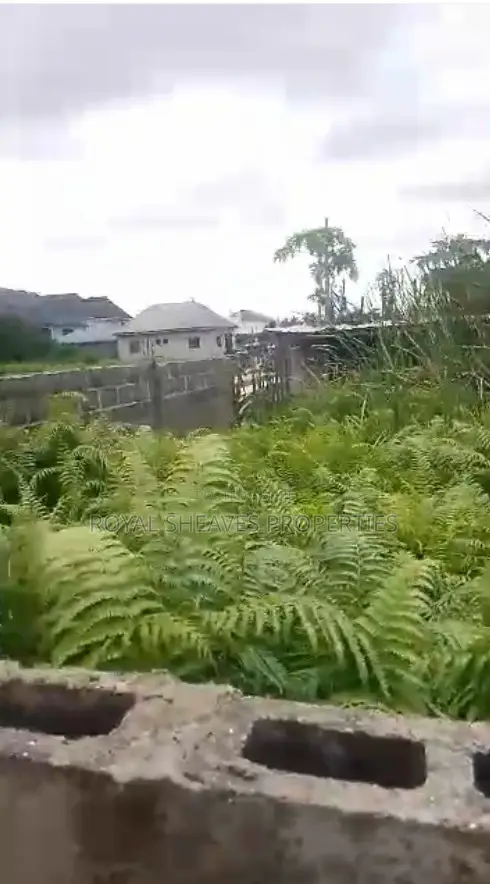 Full Plot of Land at Ojo in Okokomaiko