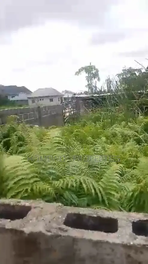 Full Plot of Land at Ojo in Okokomaiko