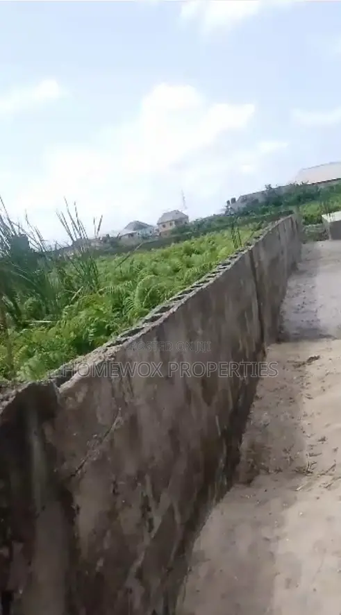 Full Plot of Land at Ojo in Okokomaiko