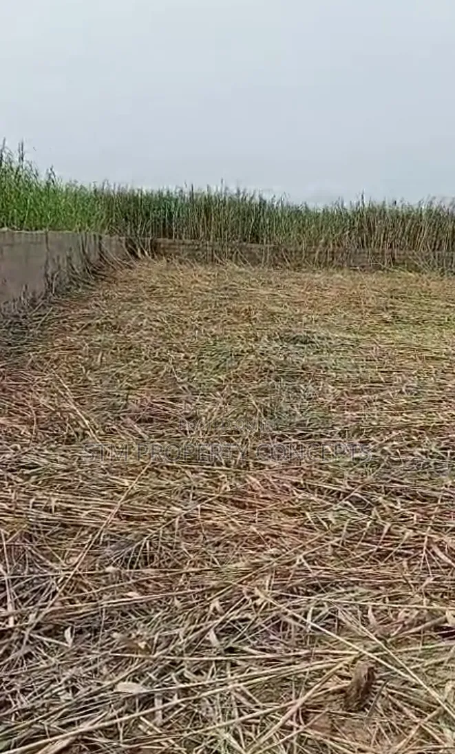659sqm of Land for Sale at Unity Estate Before Ajah Lagos in Ado / Ajah