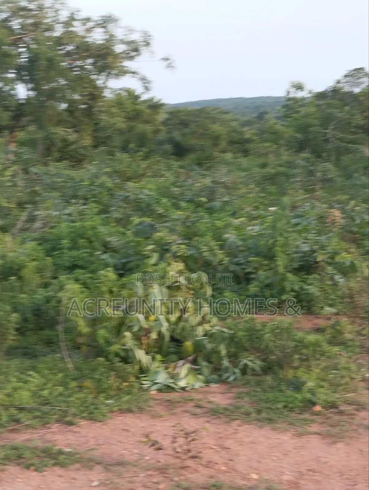 400 Acres of Agricultural Farmland for Sale, Adekola Village, Adoawaye in Iseyin