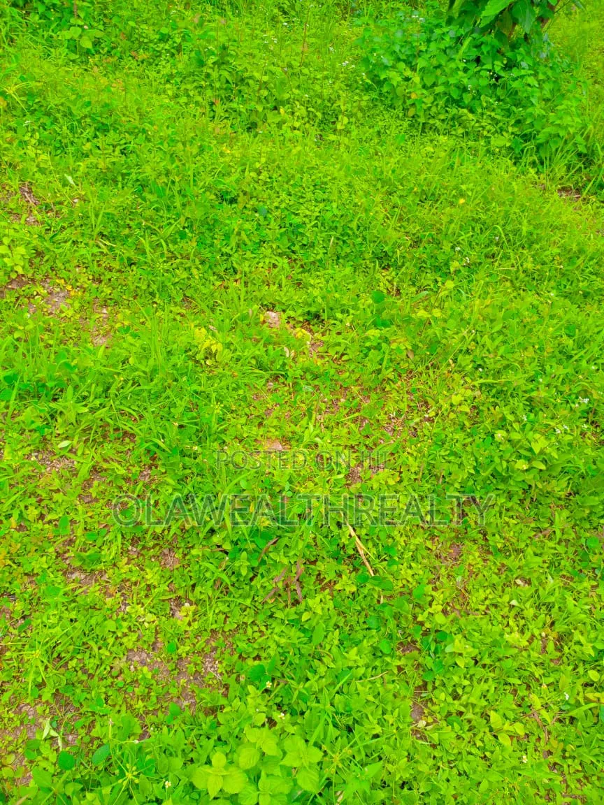 3,750sqm Commercial Land at Wuye in Wuye