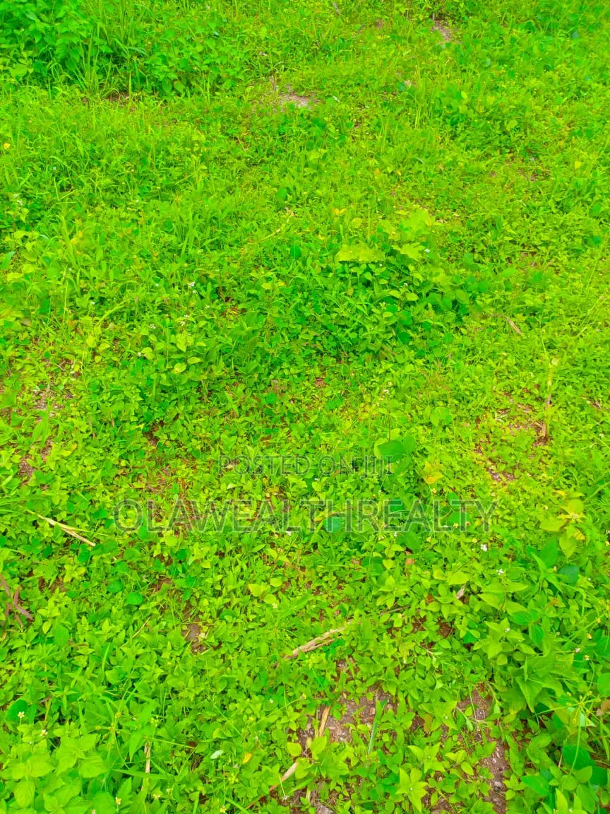 3,750sqm Commercial Land at Wuye in Wuye
