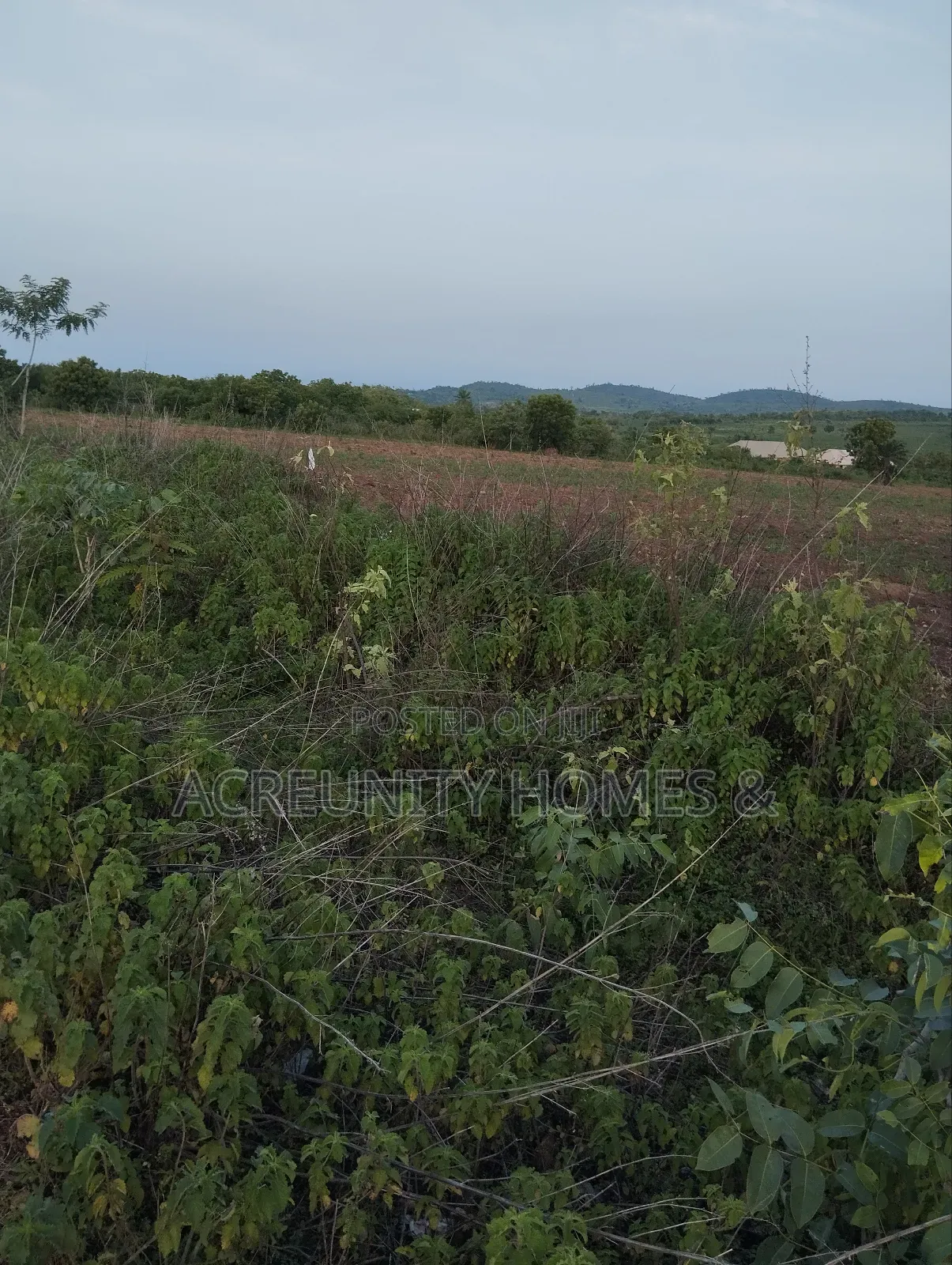 50 Acres of Prime Farmland for Sale – Iseyin, Oyo State in Iseyin