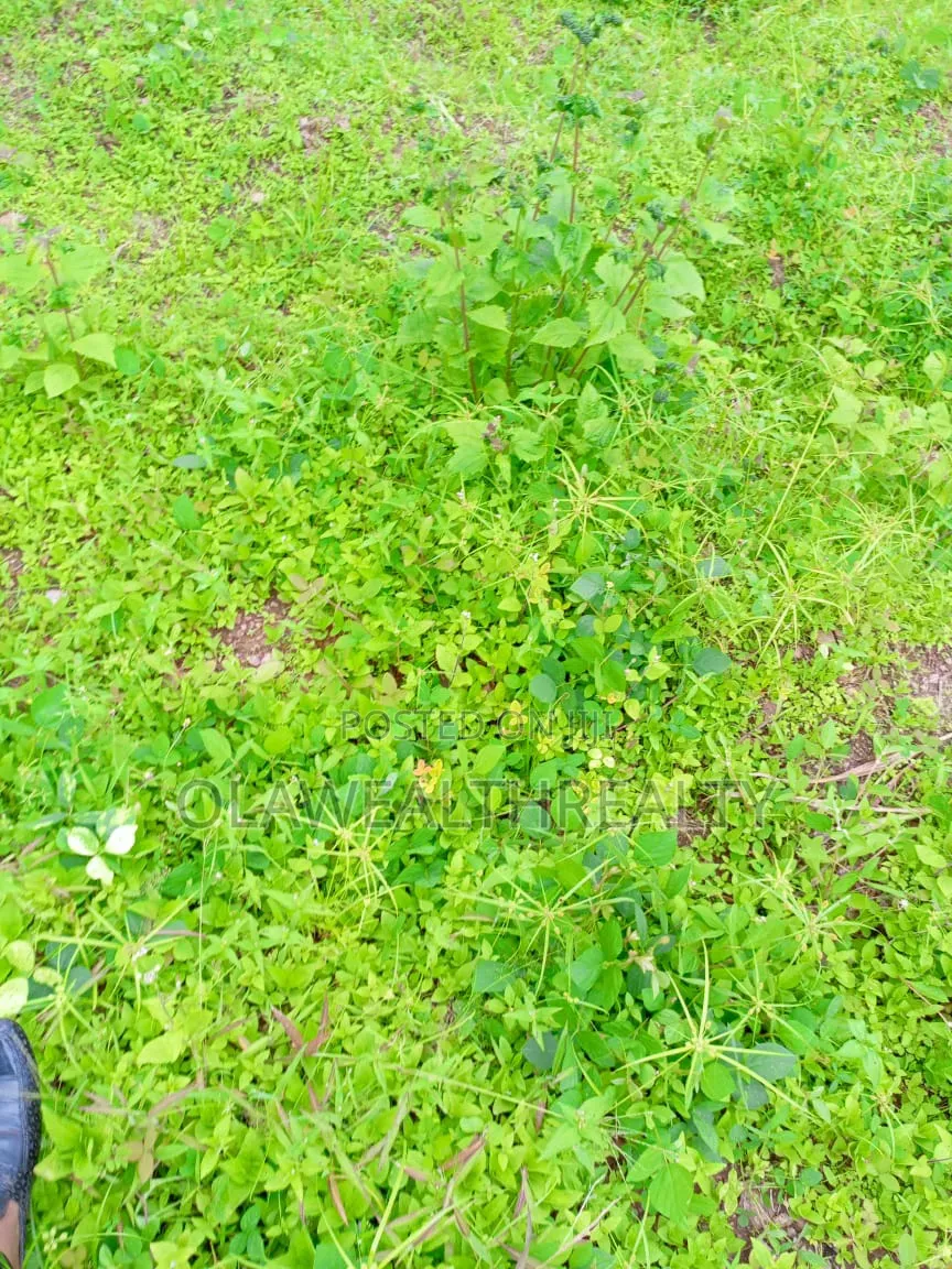 2,864sqm Residential Land at Wuse 2 in Wuse 2