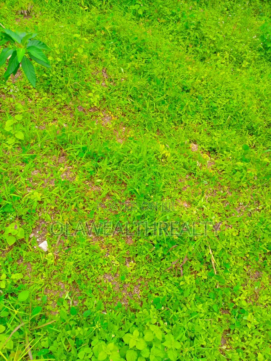 4.52 Hectares Commercial Land at Central Area in Central Business District