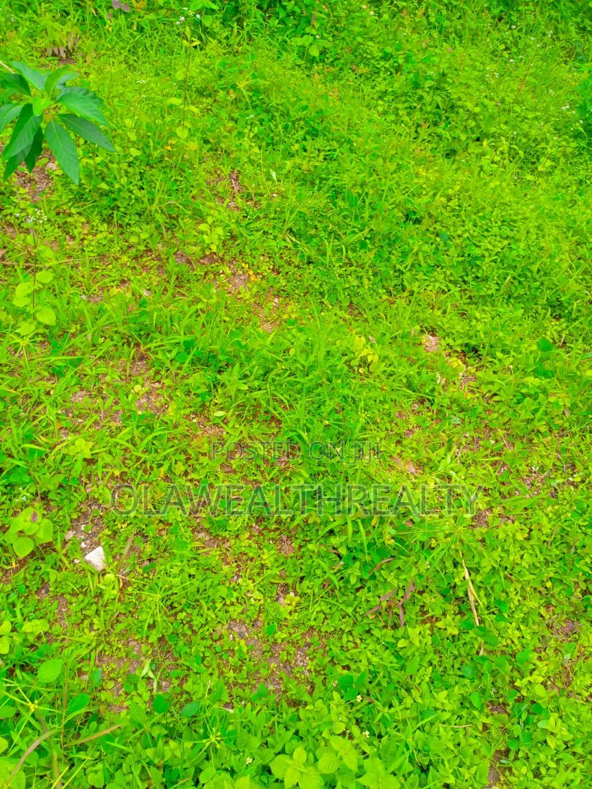 4.52 Hectares Commercial Land at Central Area in Central Business District