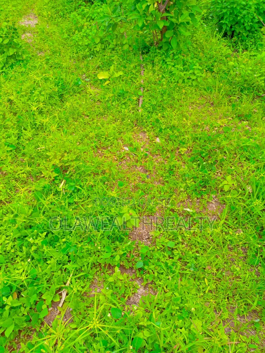 4,190sqm Commercial Land at Katampe Main in Katampe (Main)