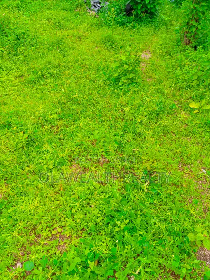 4,190sqm Commercial Land at Katampe Main in Katampe (Main)