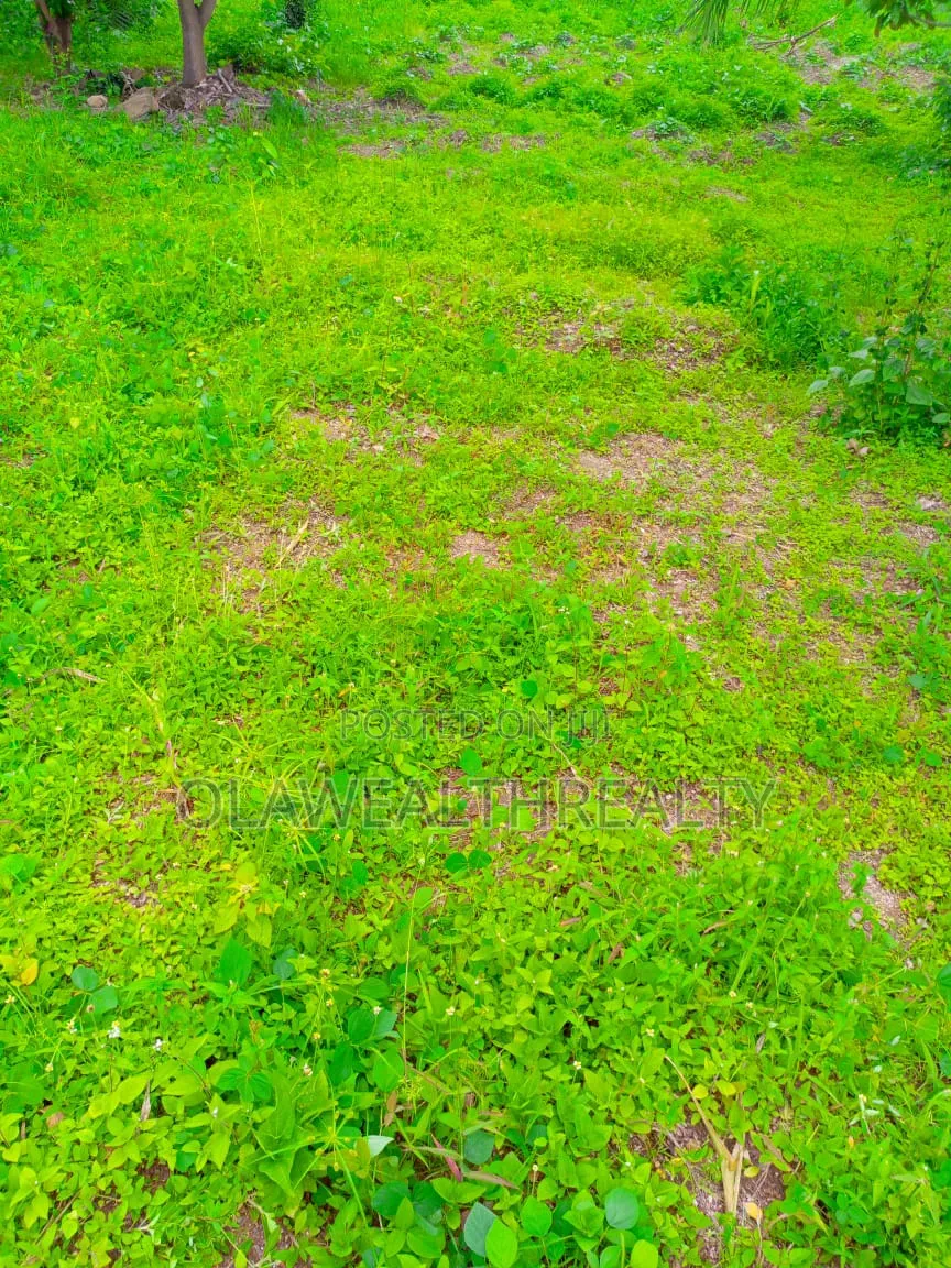 1,750sqm Commercial Land at Wuse 2 in Wuse 2