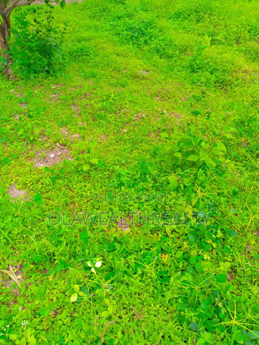 1,750sqm Commercial Land at Wuse 2 in Wuse 2