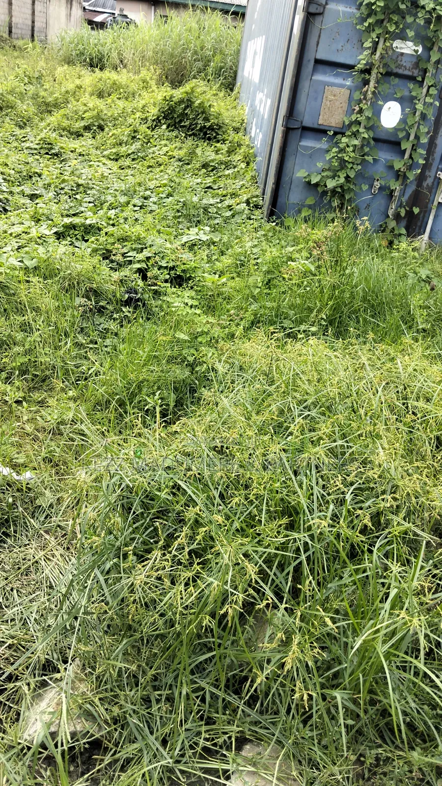For Sale : 200 Plots Behind Salvation Ministries H/Quarters Igwuruta in Ikwerre