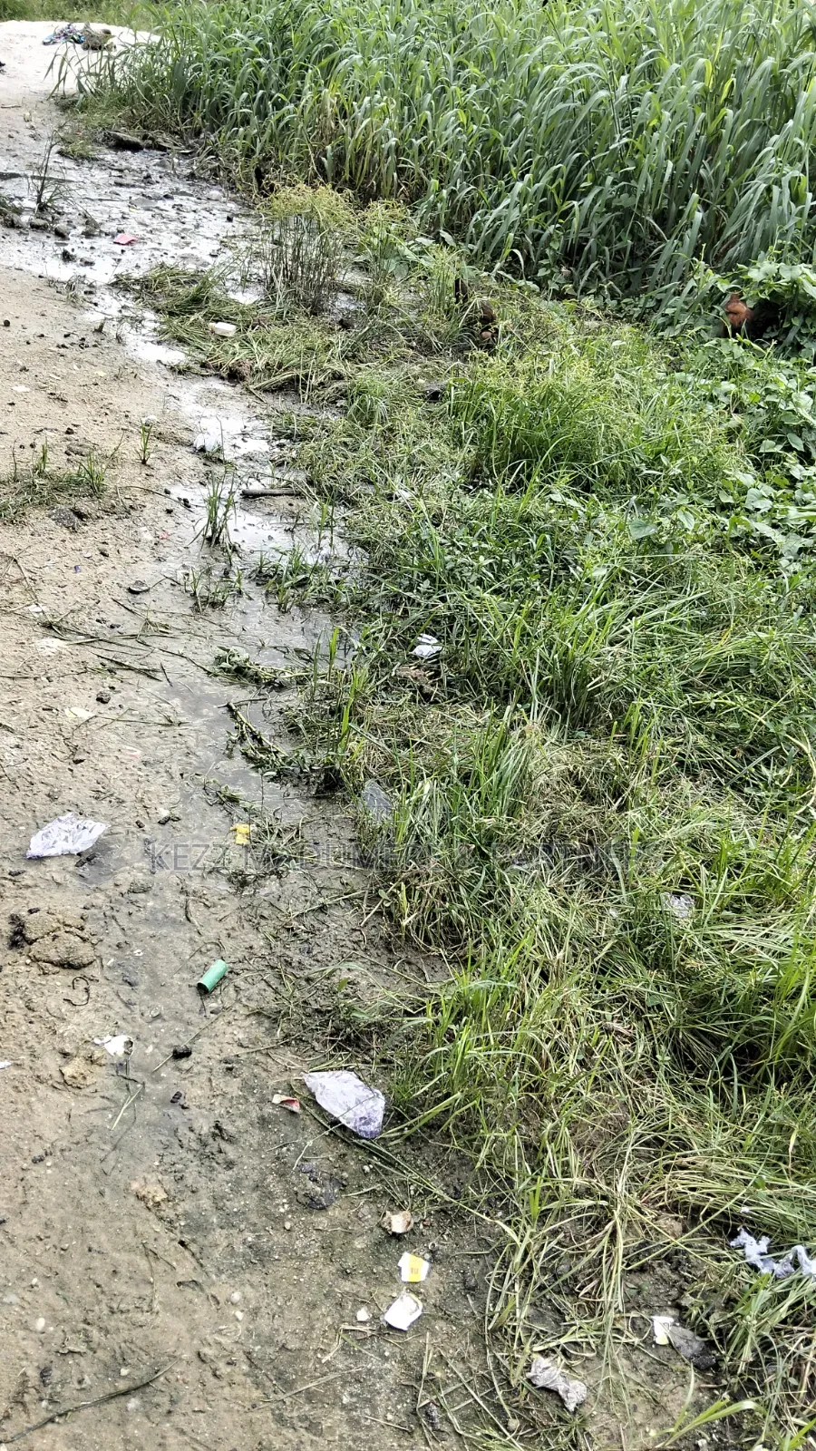 For Sale : 200 Plots Behind Salvation Ministries H/Quarters Igwuruta in Ikwerre