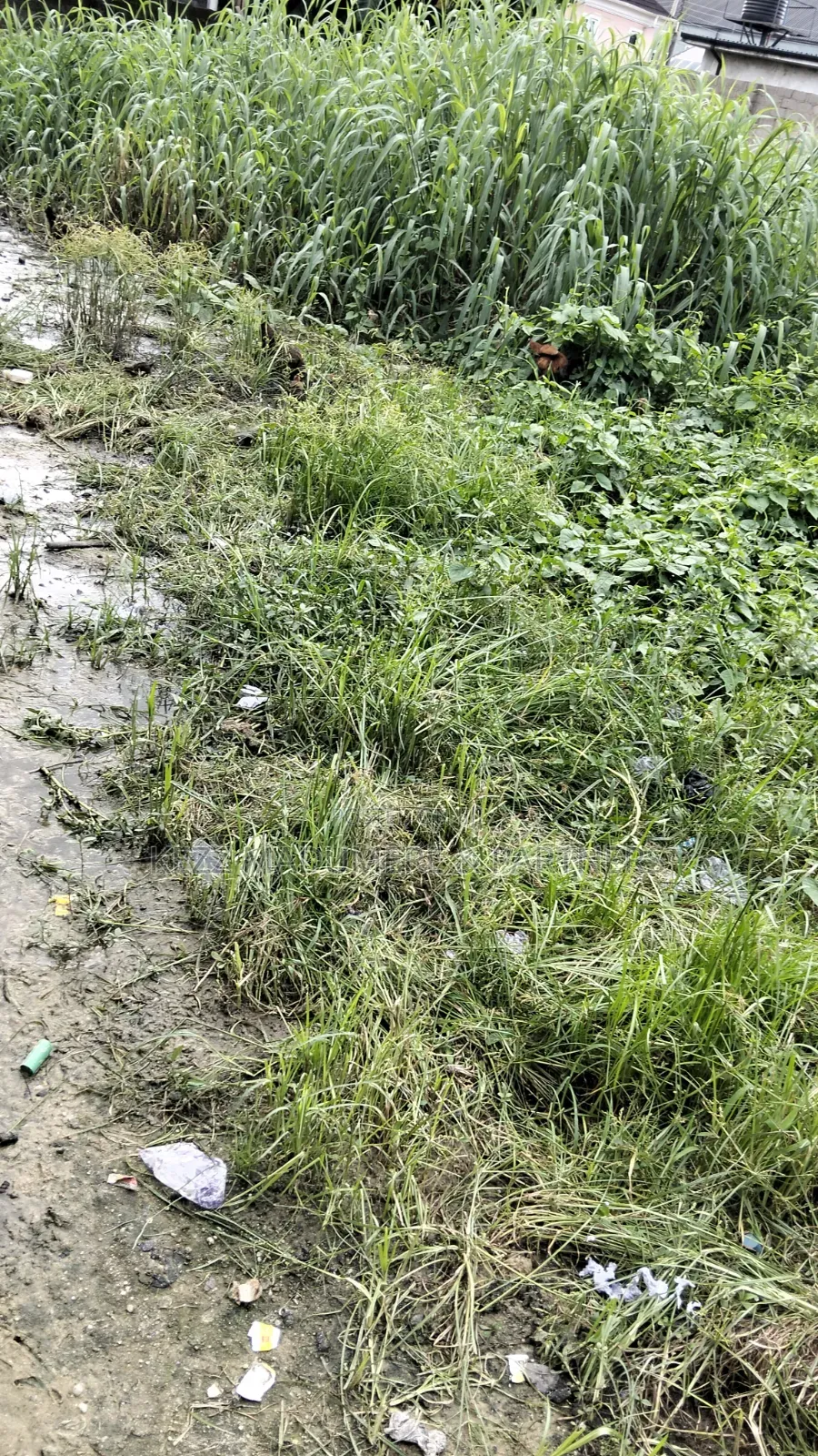 For Sale : 200 Plots Behind Salvation Ministries H/Quarters Igwuruta in Ikwerre