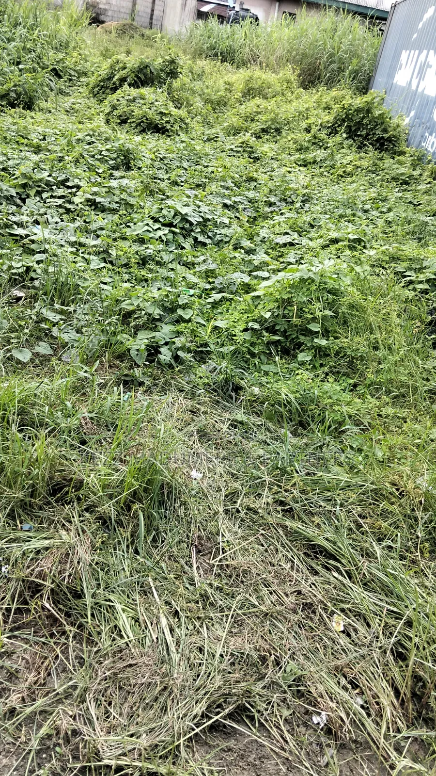 For Sale : 200 Plots Behind Salvation Ministries H/Quarters Igwuruta in Ikwerre