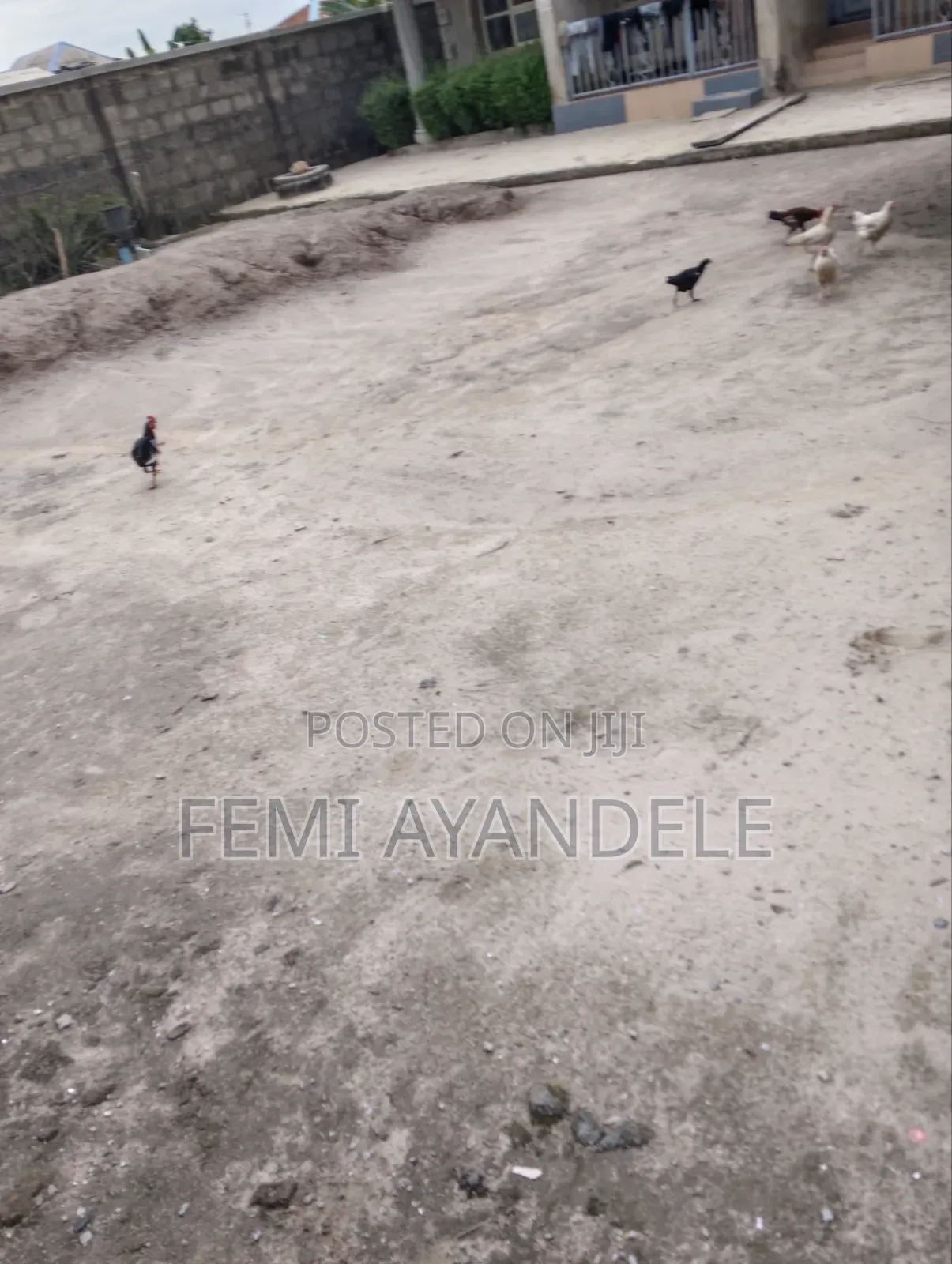 Furnished 1bdrm Apartment in Awobo Estate, Igbogbo for rent in Igbogbo