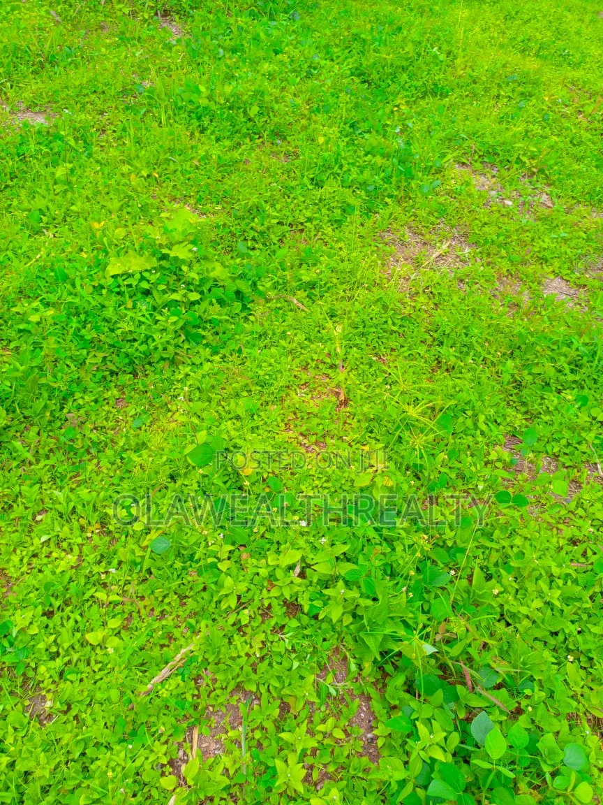 Residential Lands at Katampe Extension in Katampe Extension