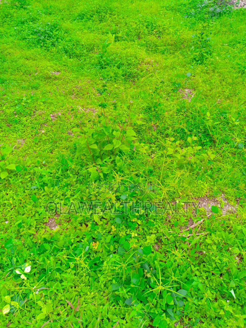 Residential Lands at Katampe Extension in Katampe Extension