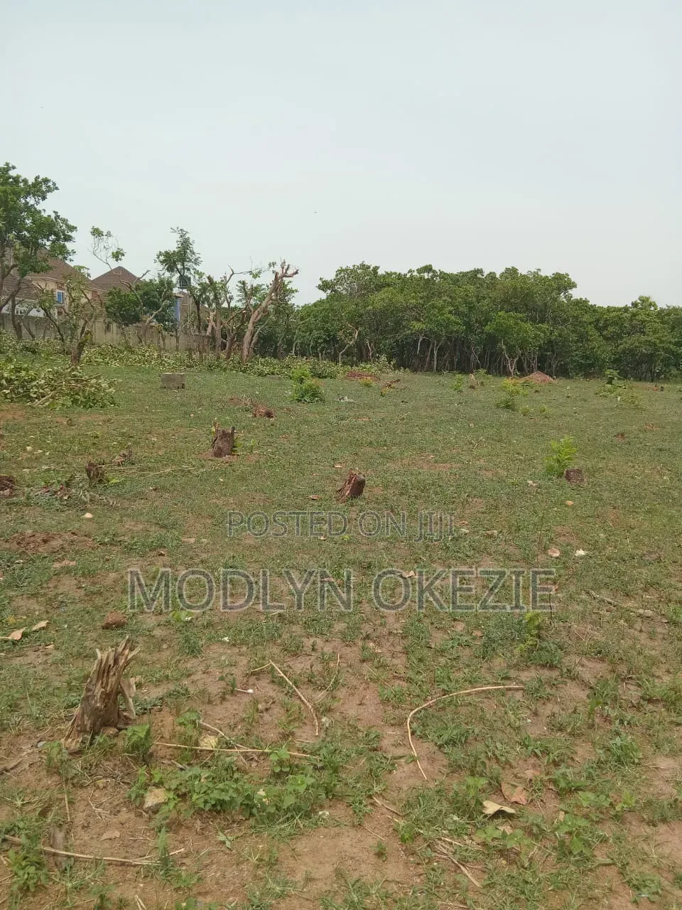 Kingsville Estate Kurudu in Kurudu