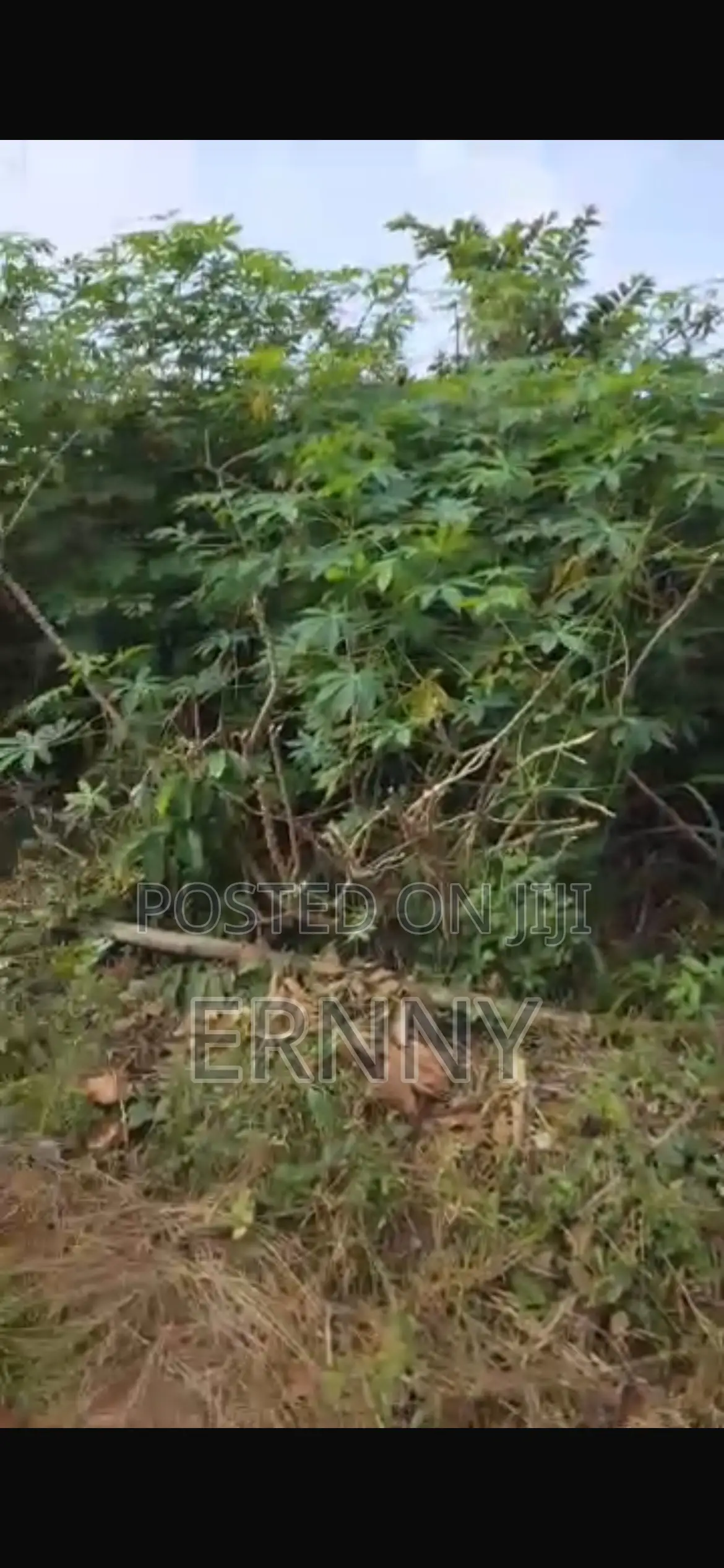 Landed Property in Esan North East