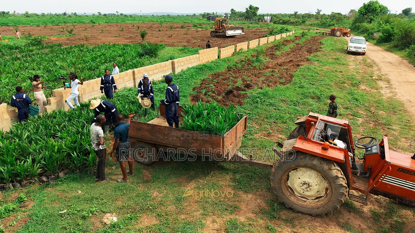 Oil Palm Hectares of Land With Palm Seedlings for Sale in Ogun State in Abeokuta North