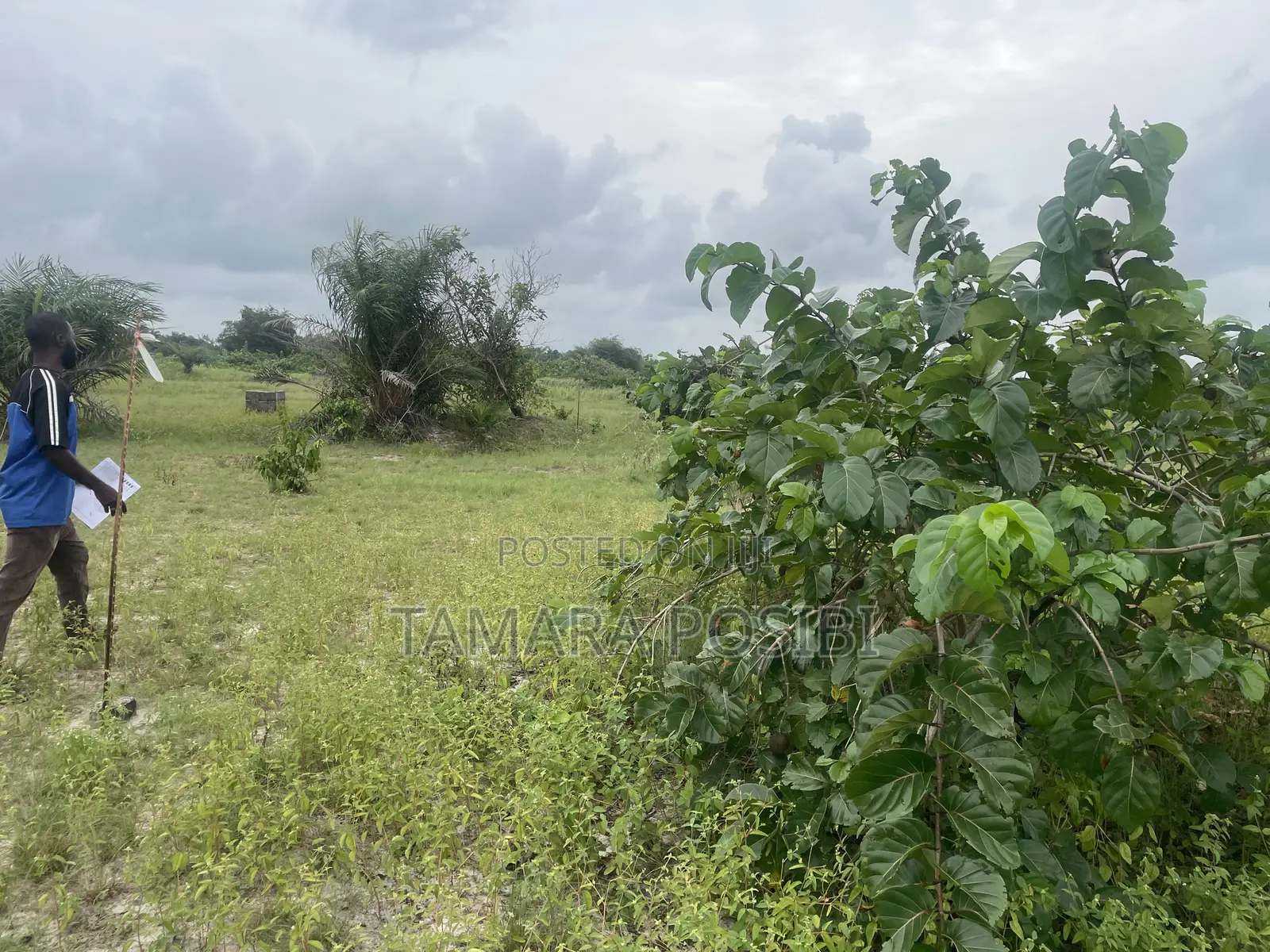 Allocated Prime Plot in an Estate at Ibeju Lekki in Elerangbe