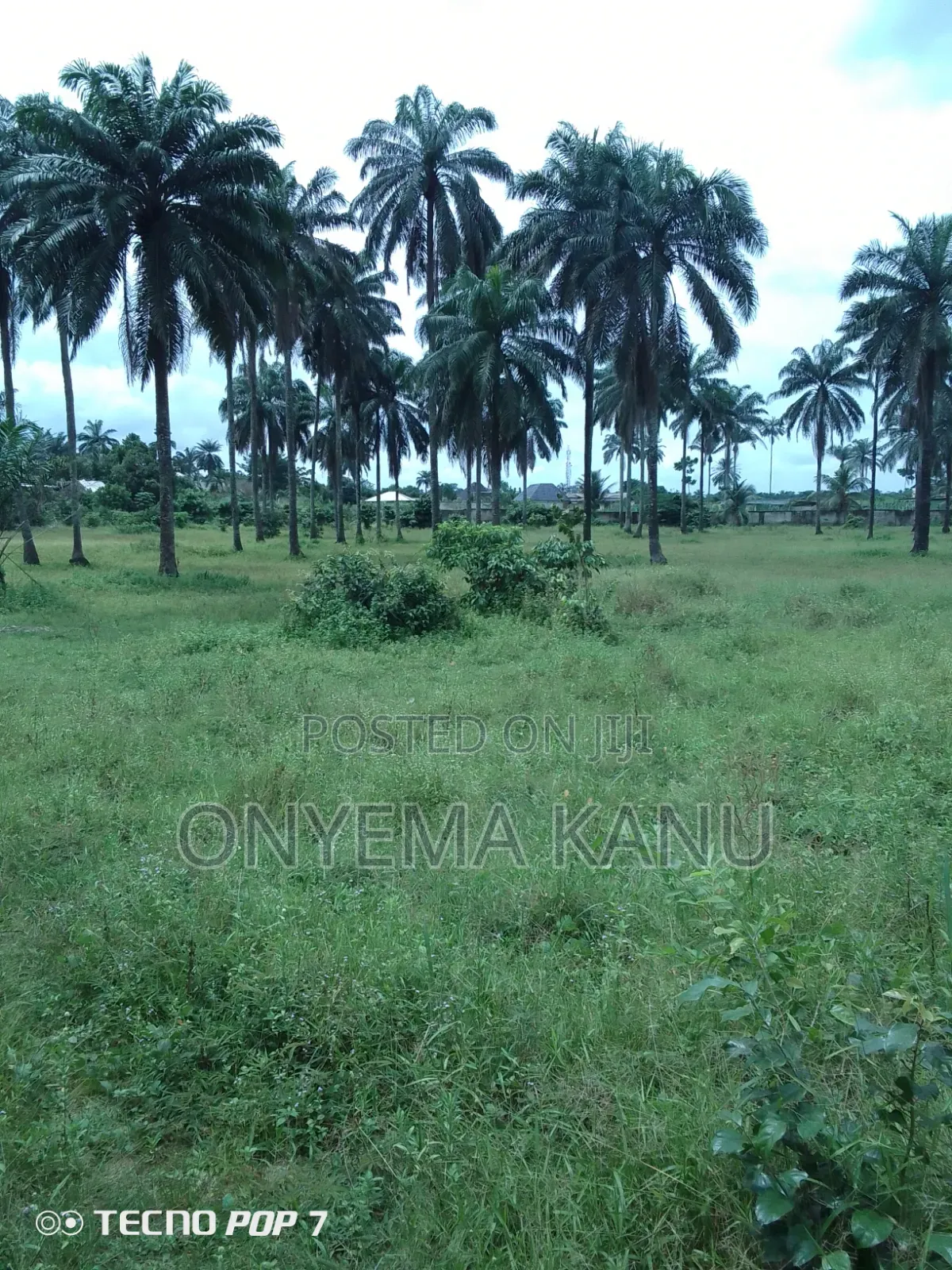 30 Plots Facing Aba - Port Harcourt Highway. in Ukwa