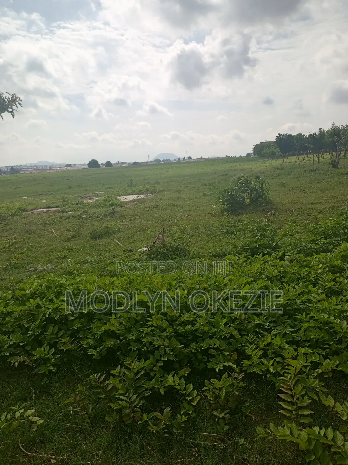 Greenwood Estate Apo Shetti in Burum
