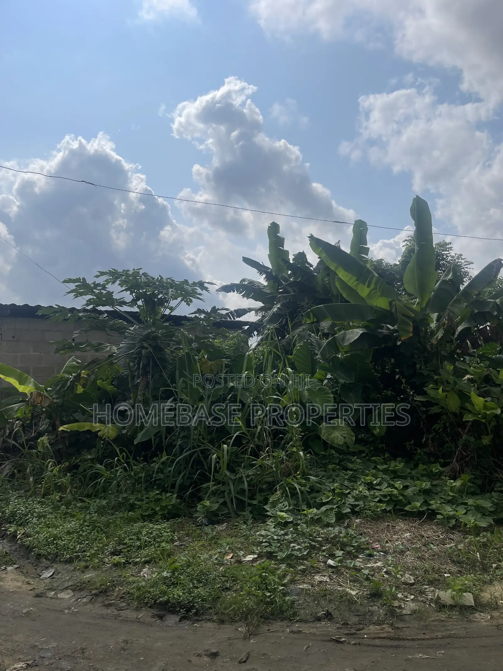 Buy And Build Emohua in Emohua