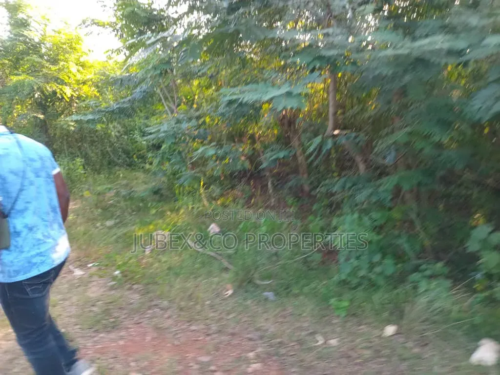 200 Acres of Land at Iseyin After Abeokuta in Iseyin