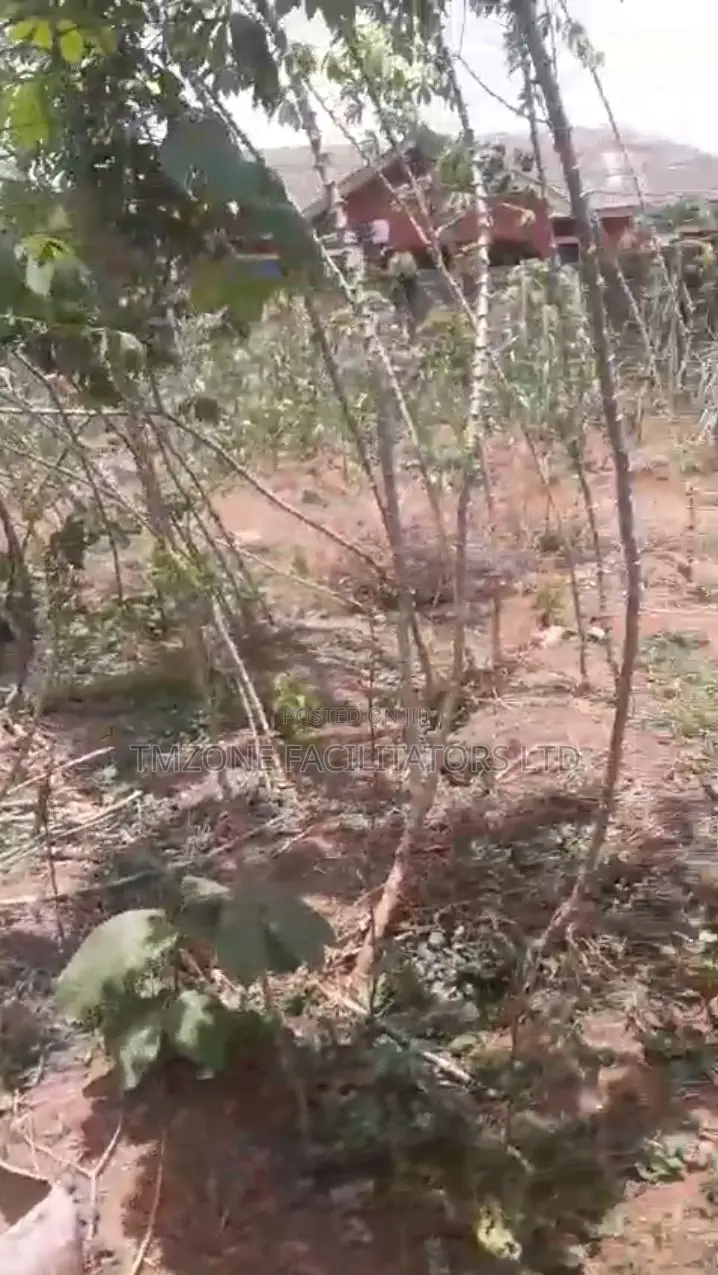 Half Plot of Land at Abule Odu in Egbeda