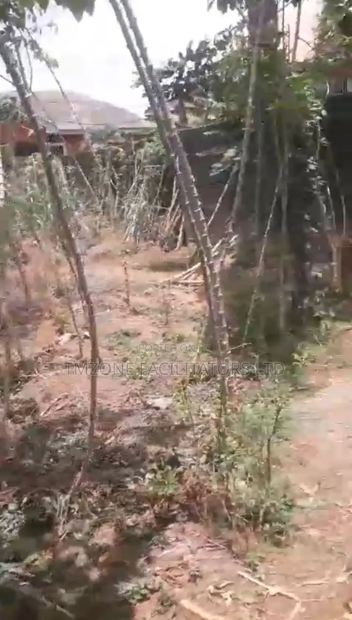 Half Plot of Land at Abule Odu in Egbeda