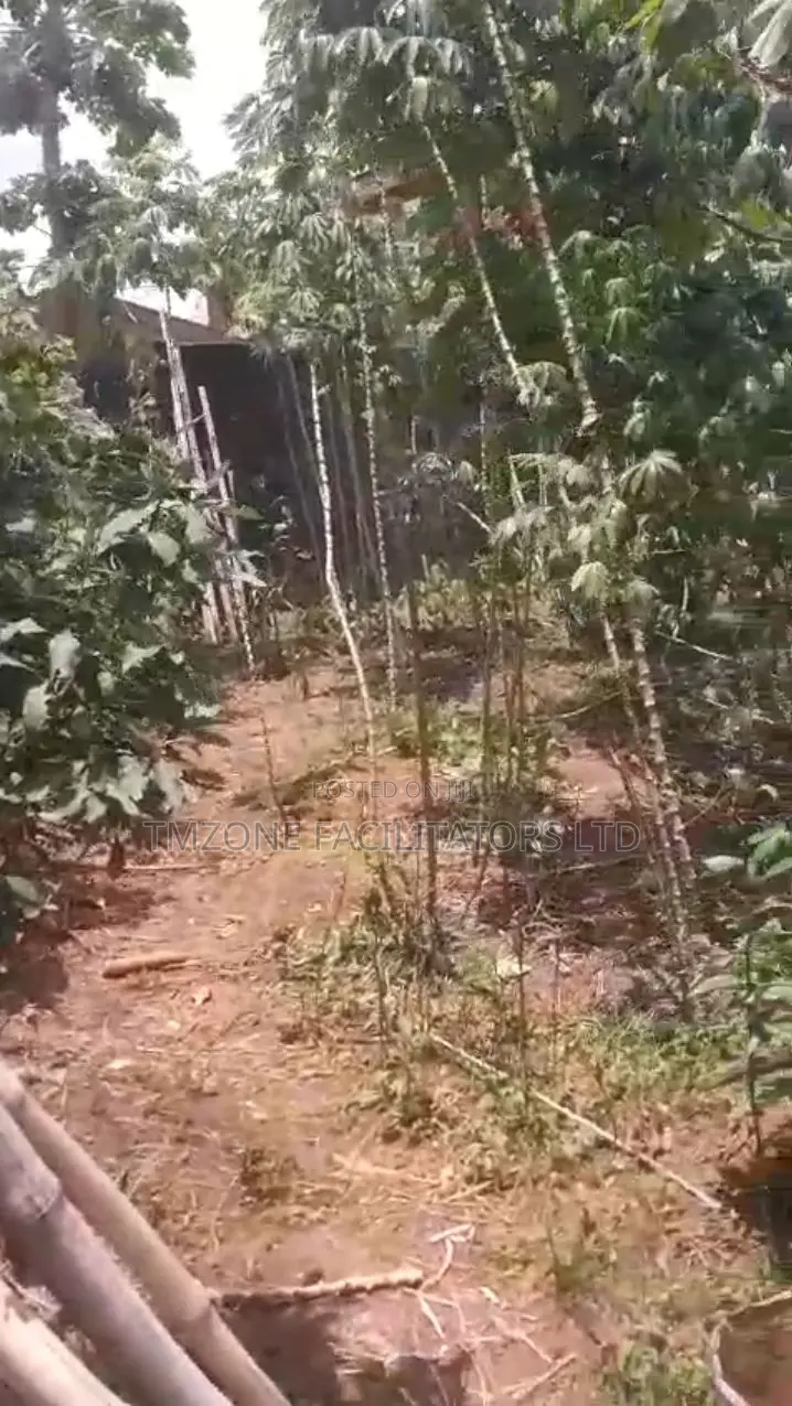 Half Plot of Land at Abule Odu in Egbeda