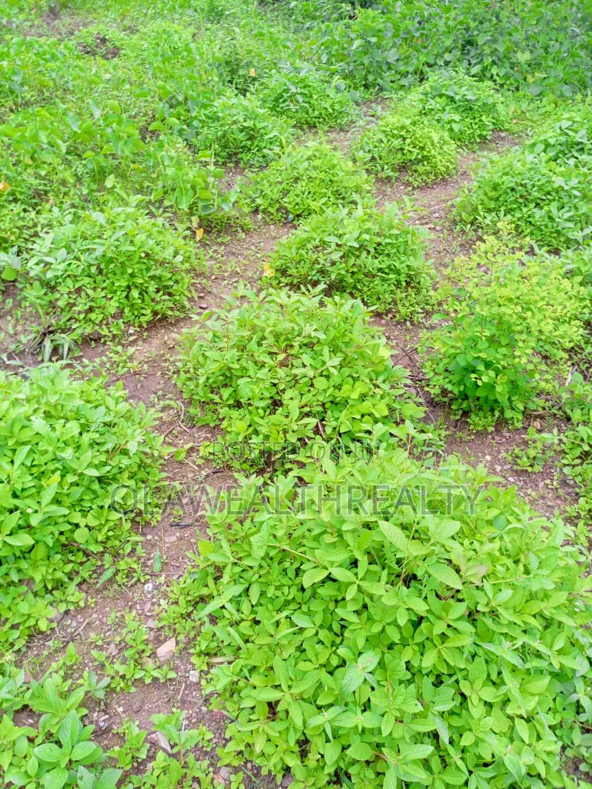 1,542sqm Residential Land At Guzape in Guzape District