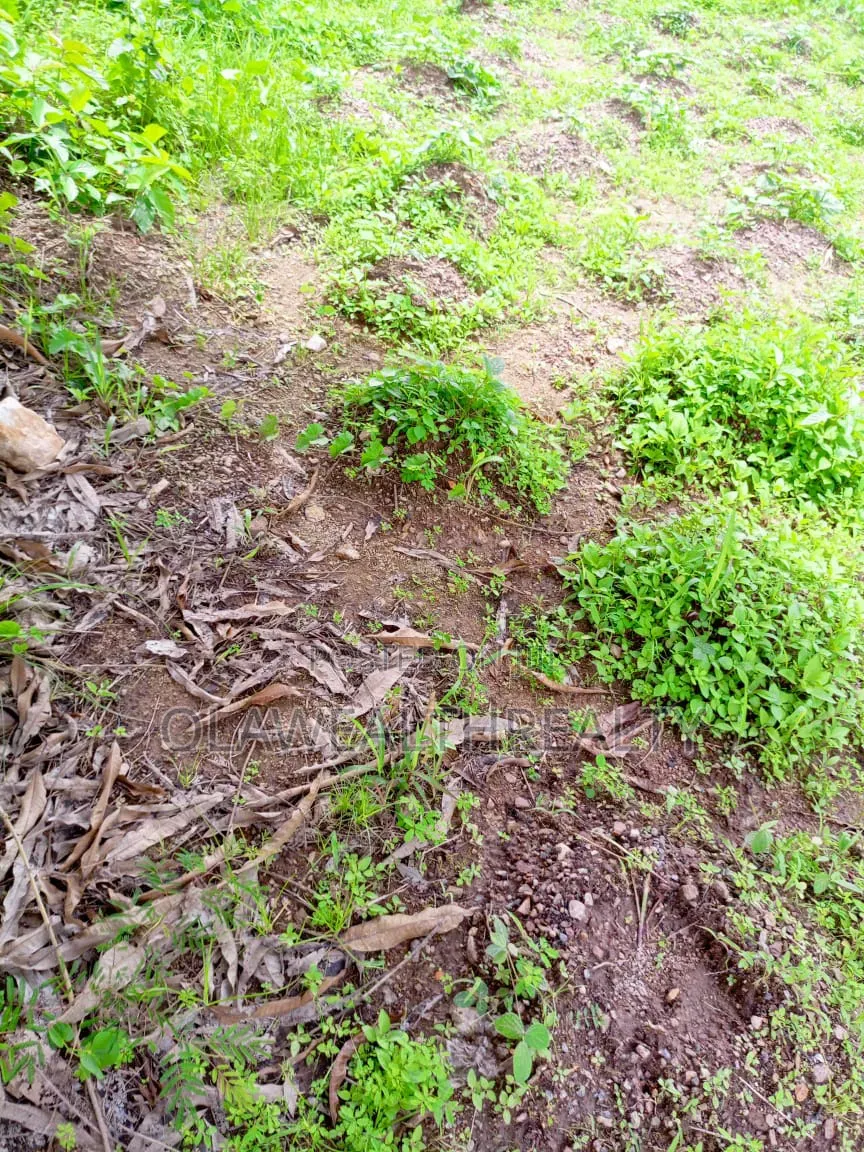 1,542sqm Residential Land At Guzape in Guzape District