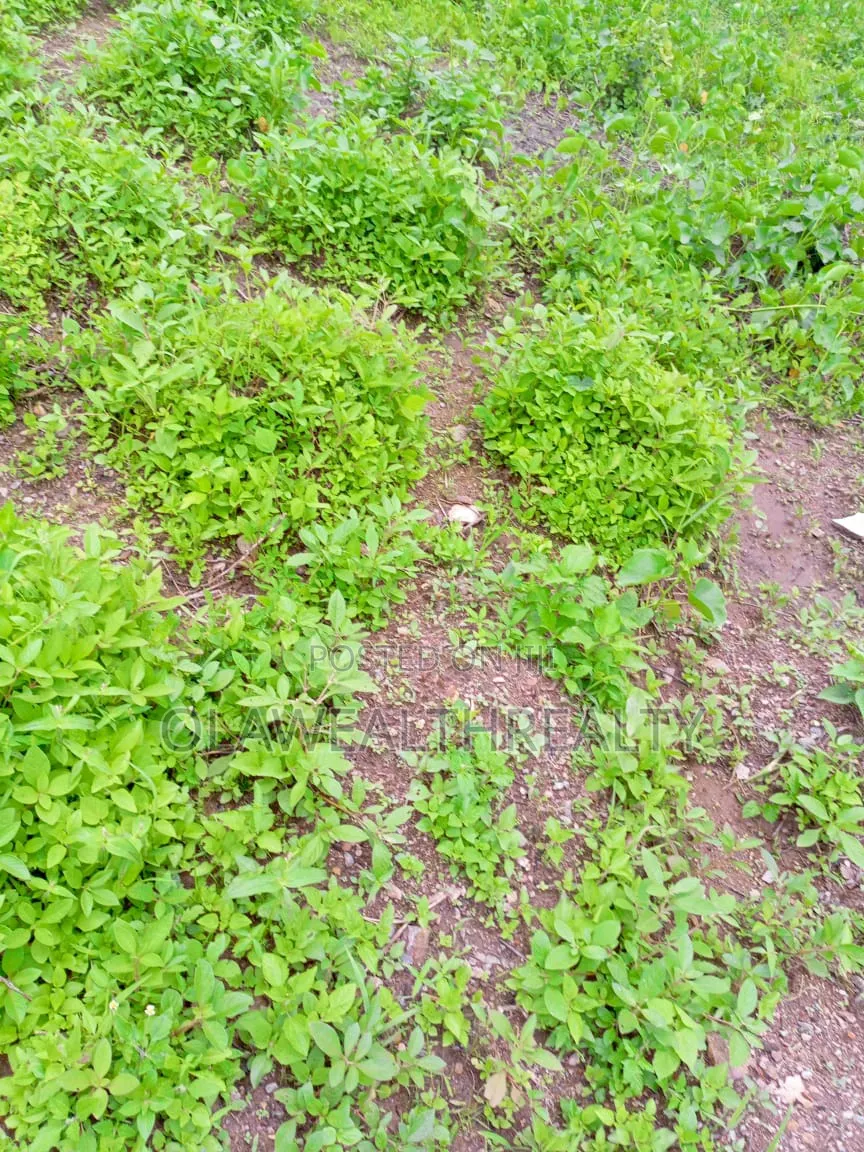 200sqm Estate Plot for Duplex at Jabi in Jabi