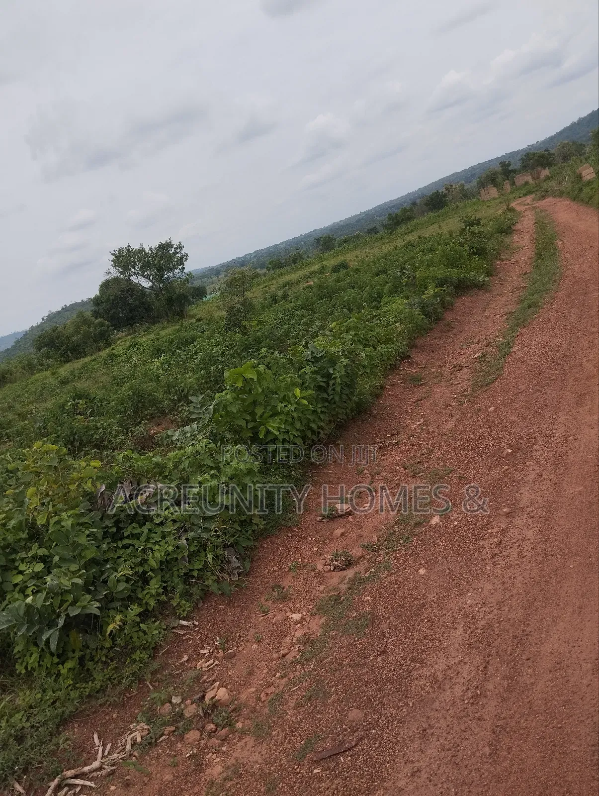 400 Acres of Farmland Available at Adekola, Ado Awaye, Iseyin Lg in Iseyin