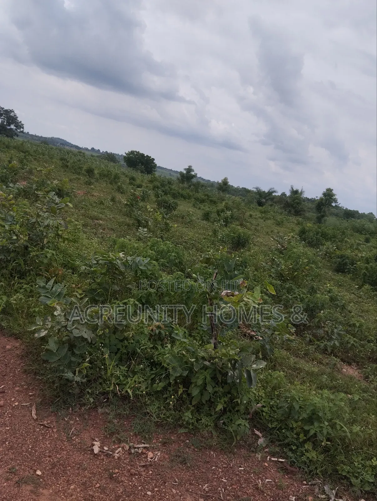 400 Acres of Farmland Available at Adekola, Ado Awaye, Iseyin Lg in Iseyin
