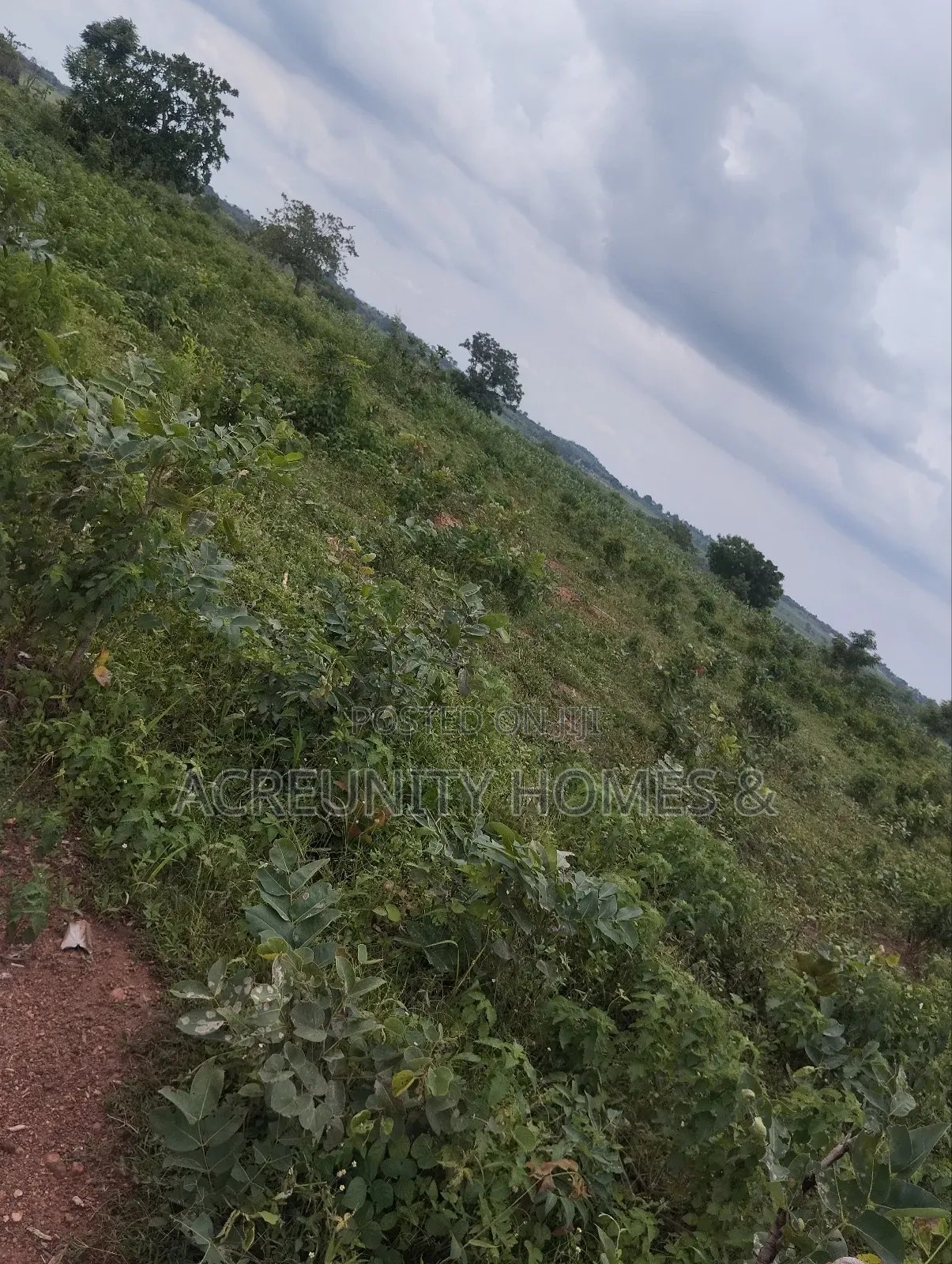400 Acres of Farmland Available at Adekola, Ado Awaye, Iseyin Lg in Iseyin