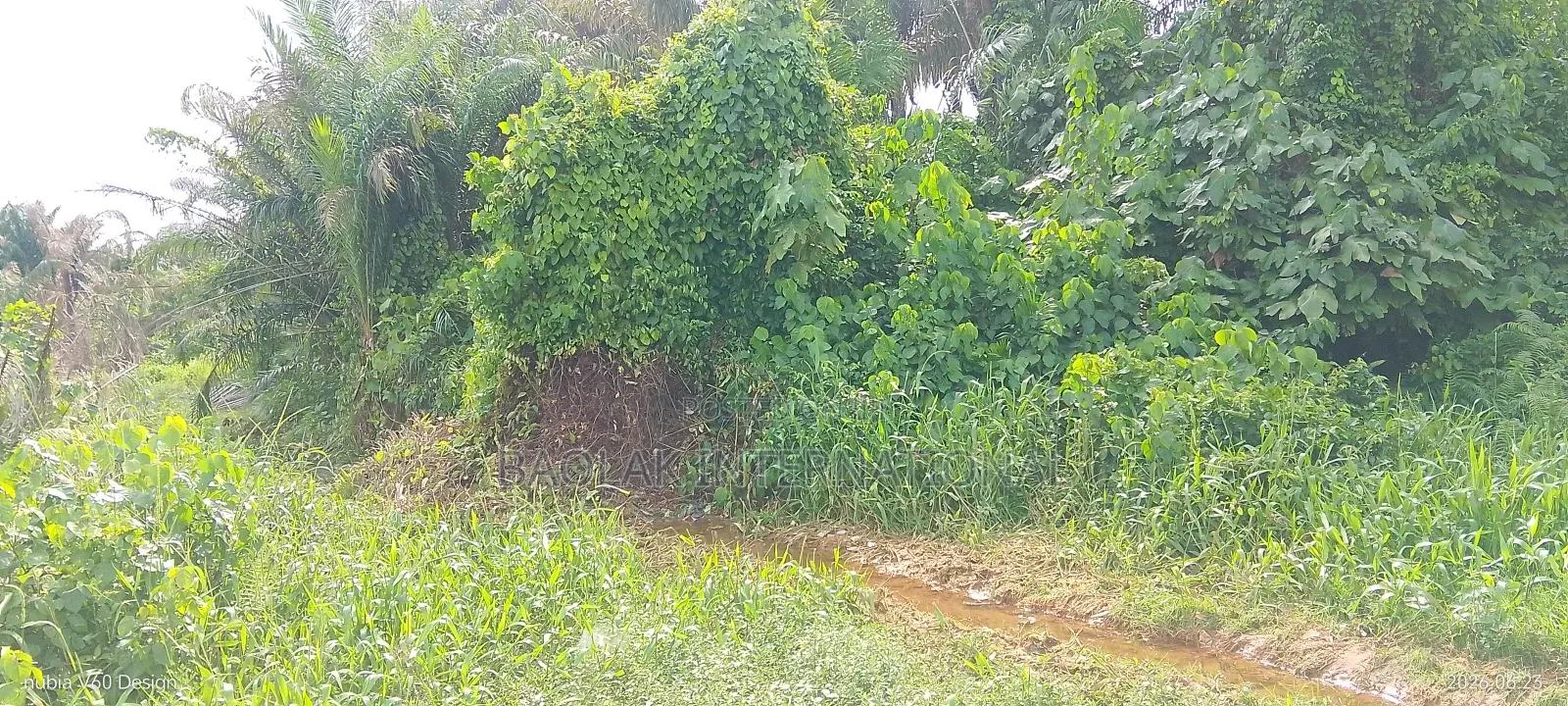Attention Estate Developers Investors: 3 Plots Land Deals in Ikorodu in Ikorodu