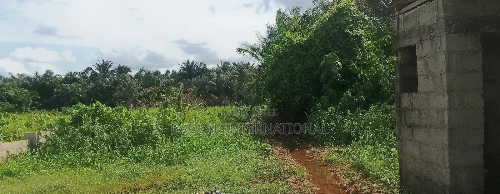 Attention Estate Developers Investors: 3 Plots Land Deals in Ikorodu in Ikorodu