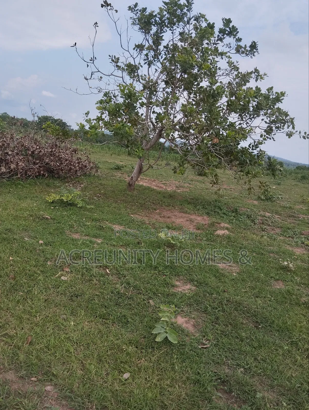 3000 Acres of Fertile Farmland Available at Olodo Anigbado, Abeokuta in Abeokuta North