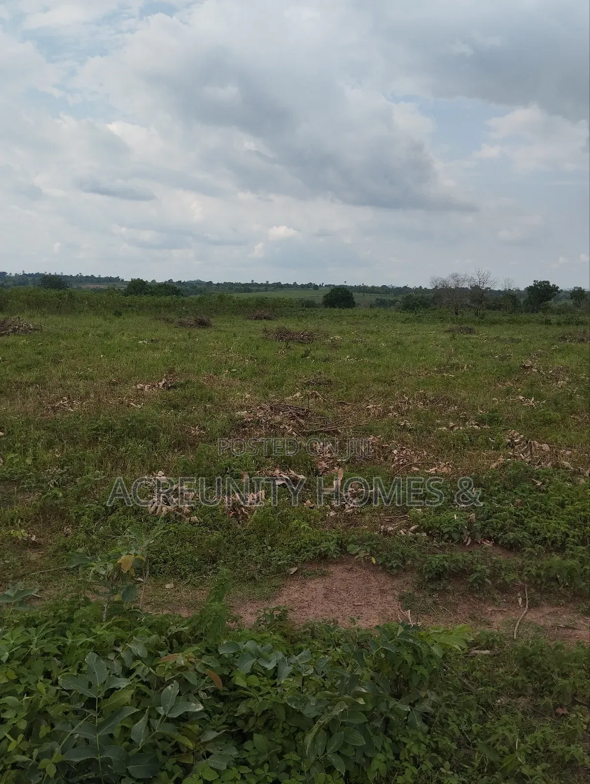 3000 Acres of Fertile Farmland Available at Olodo Anigbado, Abeokuta in Abeokuta North