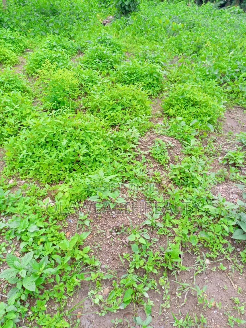 7,000sqm Commercial Land at Katampe Main in Katampe (Main)