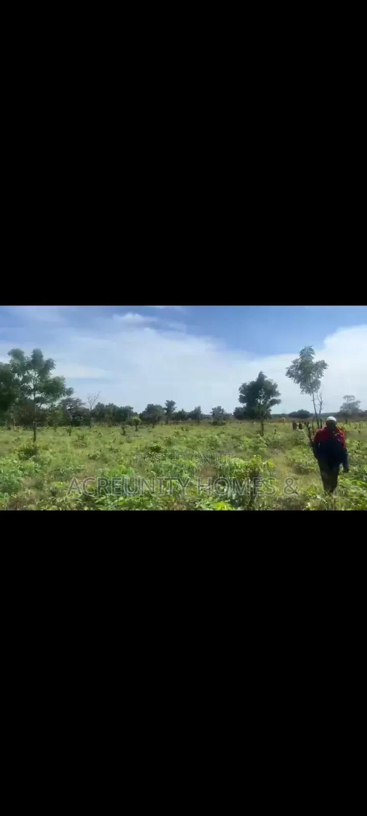 3000 Acres of Fertile Farmland Available at Olodo Anigbado, Abeokuta in Abeokuta North
