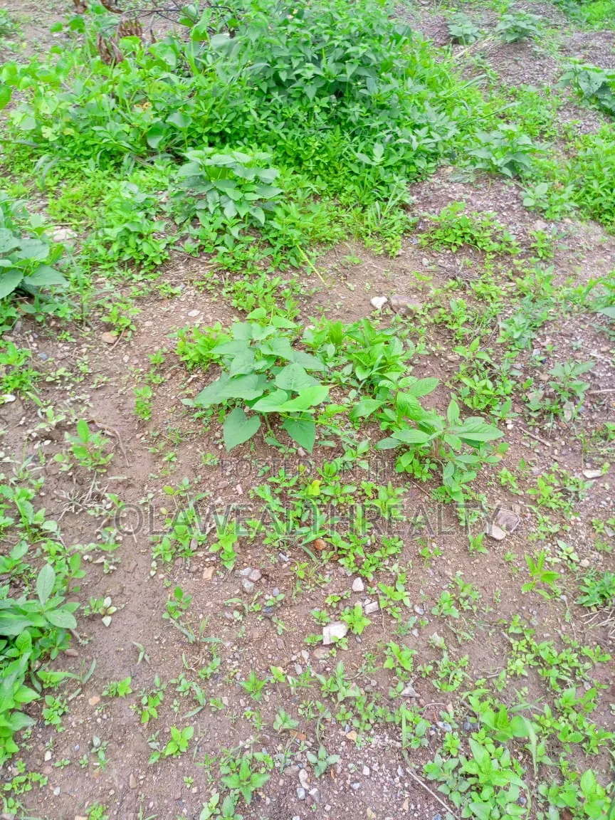 7,000sqm Commercial Land at Katampe Main in Katampe (Main)