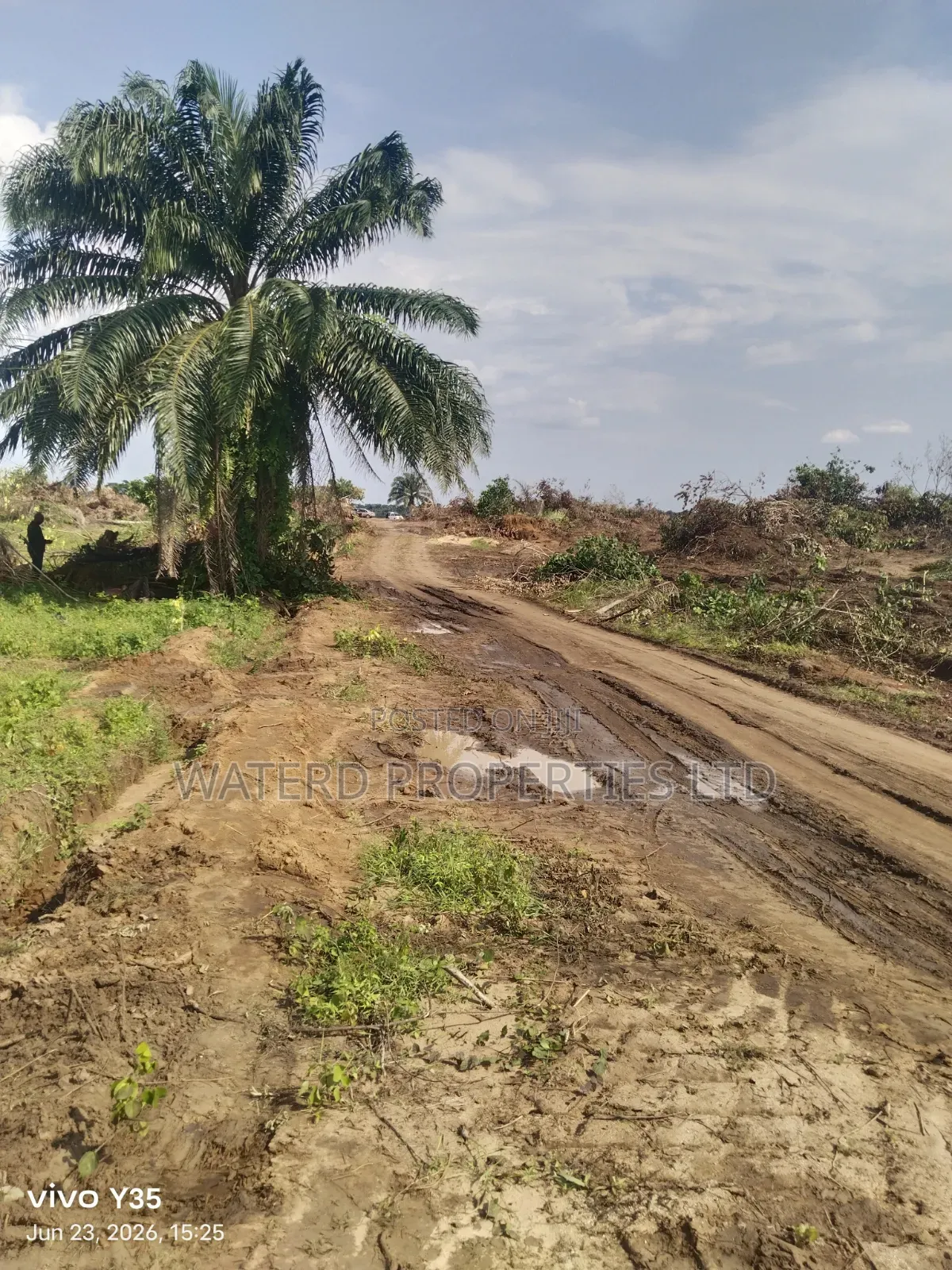 Banana Highland Woji Alesa Link Rd in Obio-Akpor