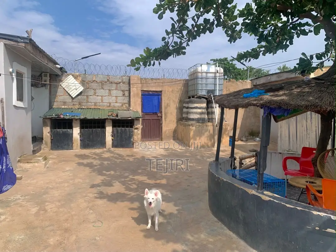 Liverstock Farm Seated on a 50 by 50 Feet Land Available for Sale in Kagini