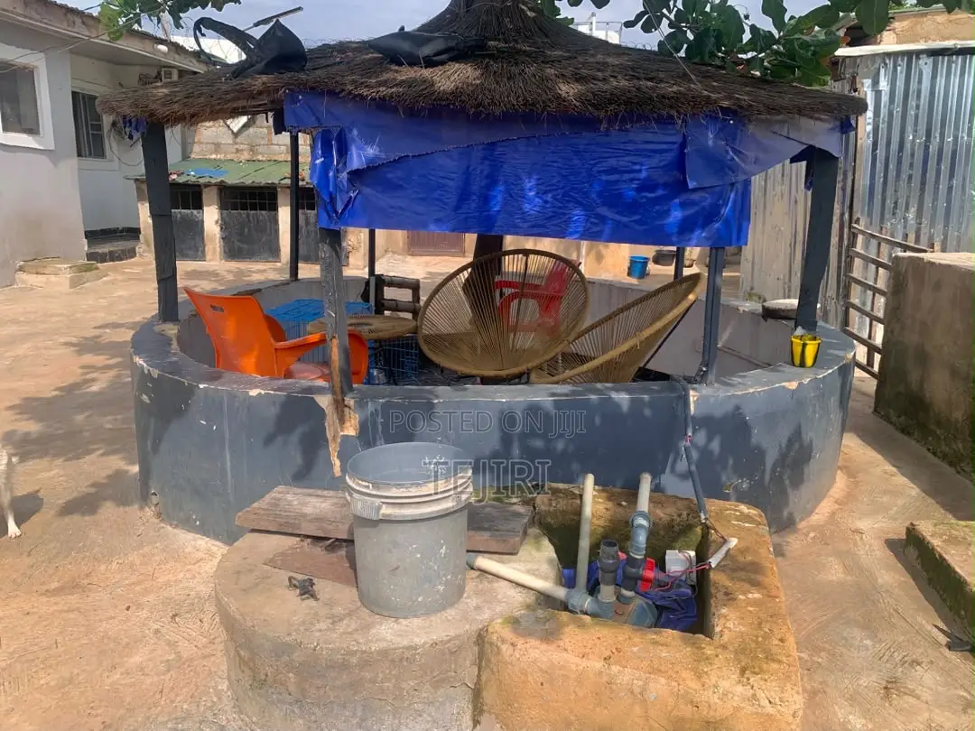 Liverstock Farm Seated on a 50 by 50 Feet Land Available for Sale in Kagini